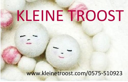 Kleine Troost