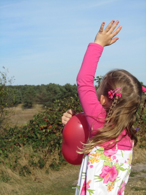 Laatste Vlucht
