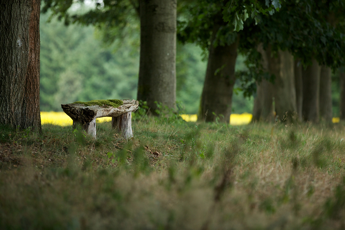 Natuurbegraafplaats Heidepol