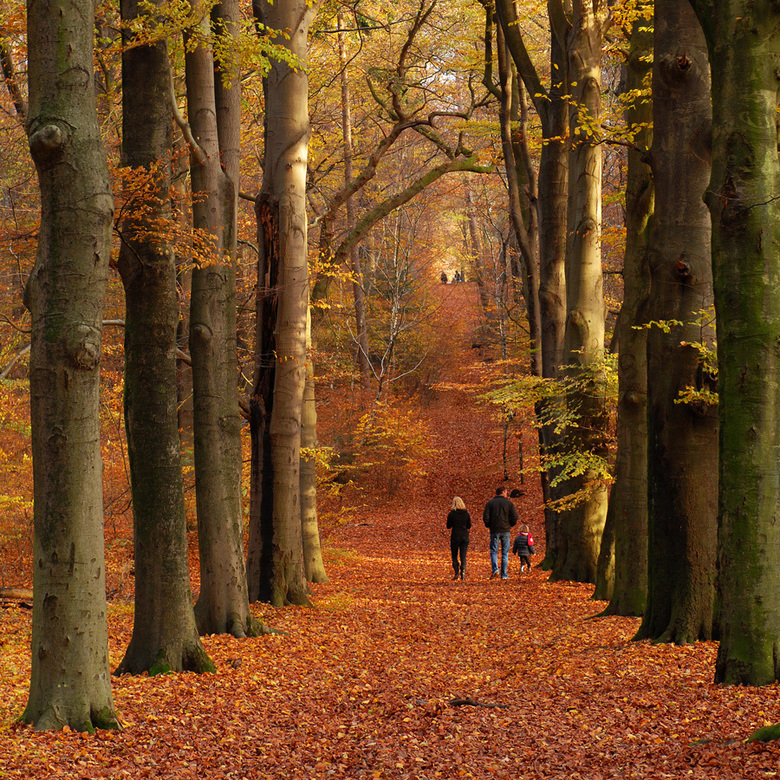 Urnengedenkparken